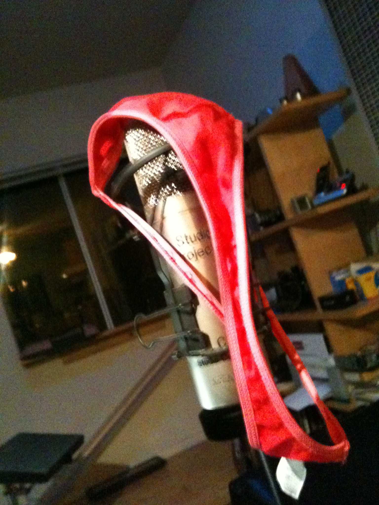 microphone & undies